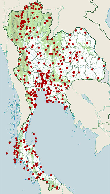 Distribution map of Barn swallow, Hirundo rustica in Thailand