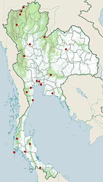 Distribution map of Hodgson's hawk-cuckoo, Hierococcyx nisicolor in Thailand