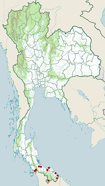 Distribution map of Puff-faced mud snake, Homalopsis buccata in Thailand