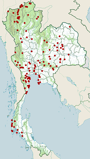Distribution map of Eurasian hoopoe, Upupa epops in Thailand