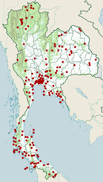 Distribution map of Green grass frog, Hylarana erythraea in Thailand