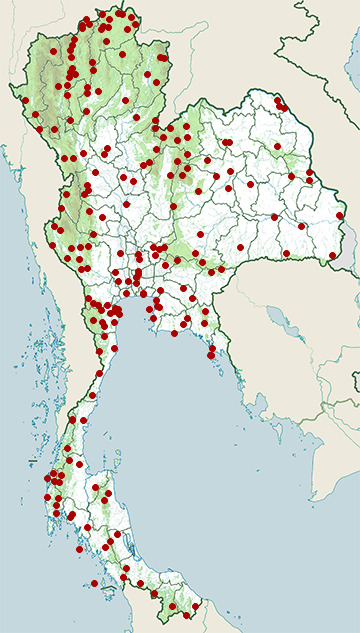 Distribution map of Black-naped monarch, Hypothymis azurea in Thailand