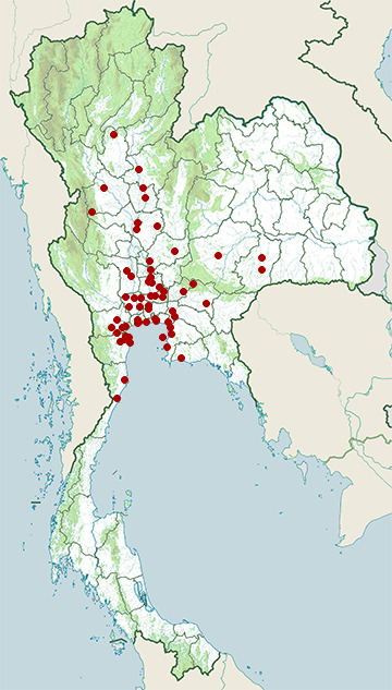 Distribution map of Indian cormorant, Phalacrocorax fuscicollis in Thailand