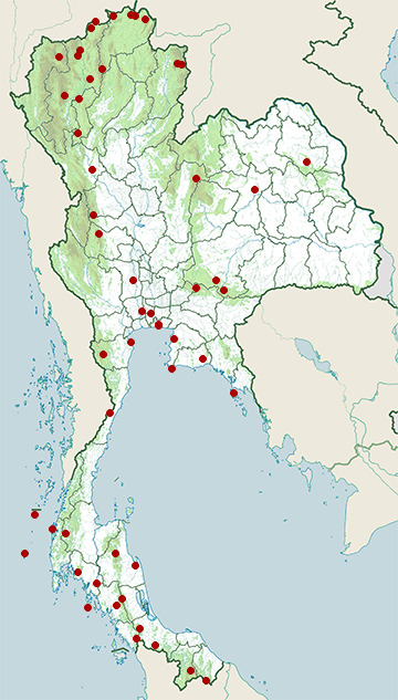 Distribution map of Indian cuckoo, Cuculus micropterus in Thailand