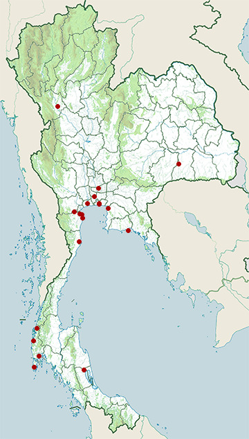 Distribution map of Indian pond heron, Ardeola grayii in Thailand