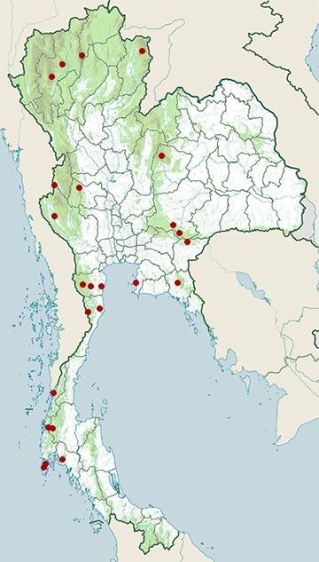 Distribution map of Elongated tortoise, Indotestudo elongata in Thailand