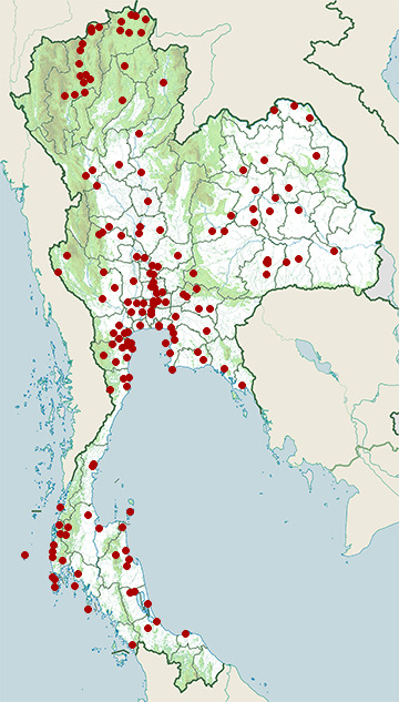 Distribution map of Intermediate egret, Ardea intermedia in Thailand