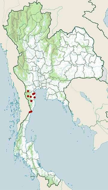 Distribution map of Thai snake skink, Isopachys anguinoides in Thailand