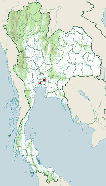 Distribution map of Java sparrow, Lonchura oryzivora in Thailand