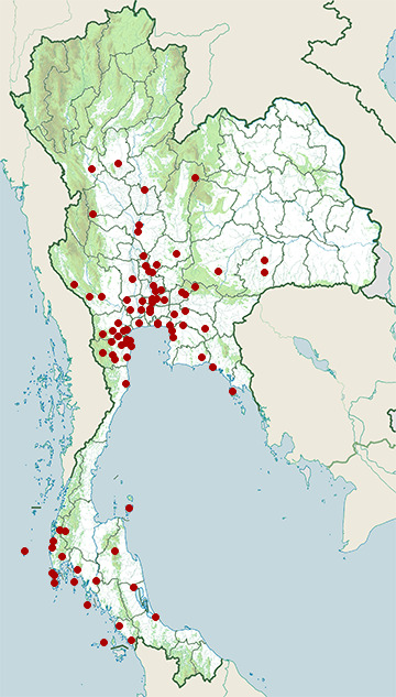 Distribution map of Javan pond heron, Ardeola speciosa in Thailand