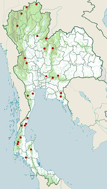Distribution map of Jerdon's baza, Aviceda jerdoni in Thailand