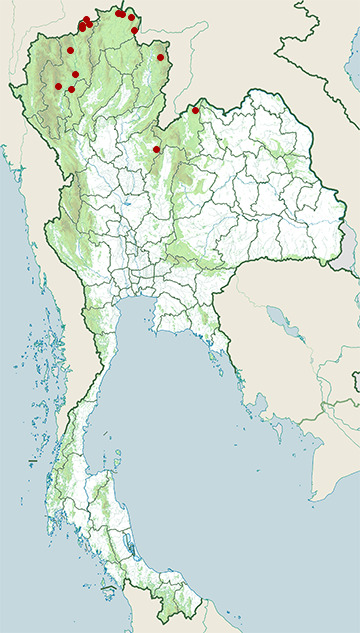 Distribution map of Jerdon's bushchat, Saxicola jerdoni in Thailand