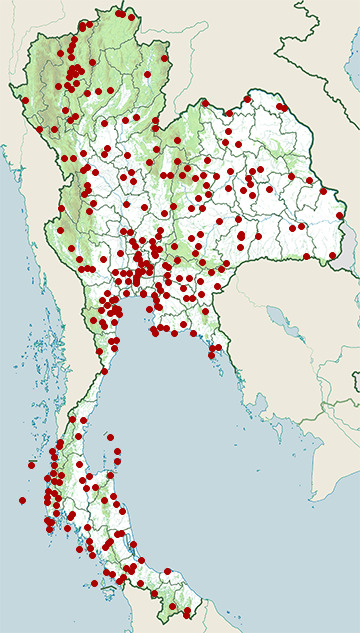 Distribution map of Large-billed crow, Corvus macrorhynchos in Thailand