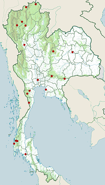 Distribution map of Blue-breasted quail, Excalfactoria chinensis in Thailand