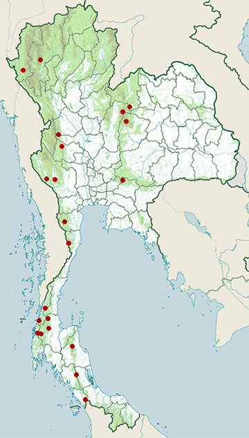 Distribution map of Lar gibbon, Hylobates lar in Thailand