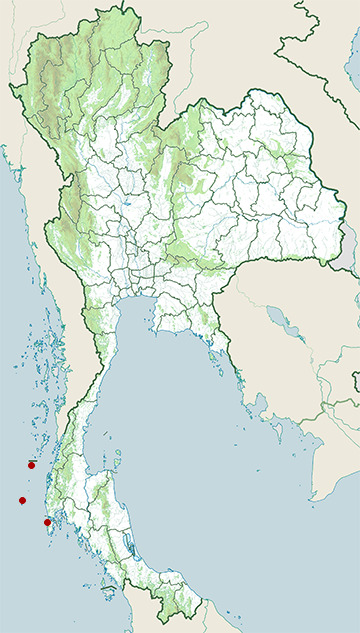 Distribution map of Leatherback sea turtle, Dermochelys coriacea in Thailand