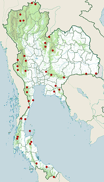 Distribution map of Leopard cat, Prionailurus bengalensis in Thailand