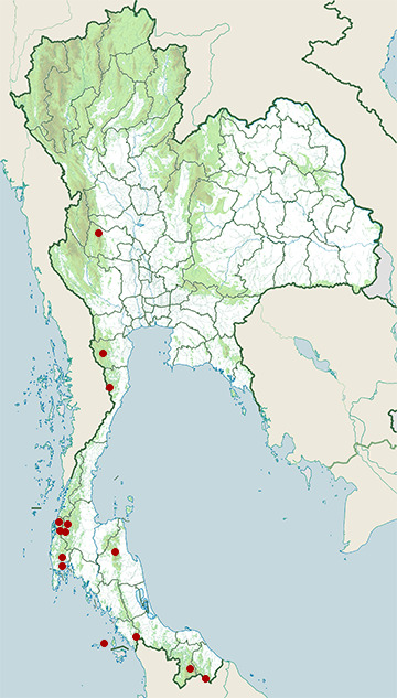 Distribution map of Lesser fish-eagle, Icthyophaga humilis in Thailand