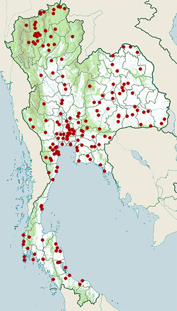Distribution map of Lesser whistling duck, Dendrocygna javanica in Thailand