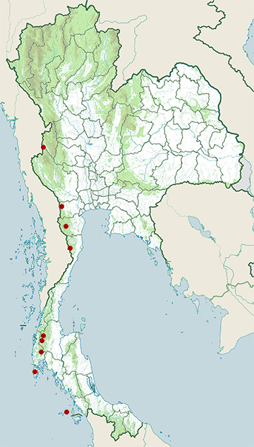 Distribution map of Karin fanged frog, Limnonectes macrognathus in Thailand