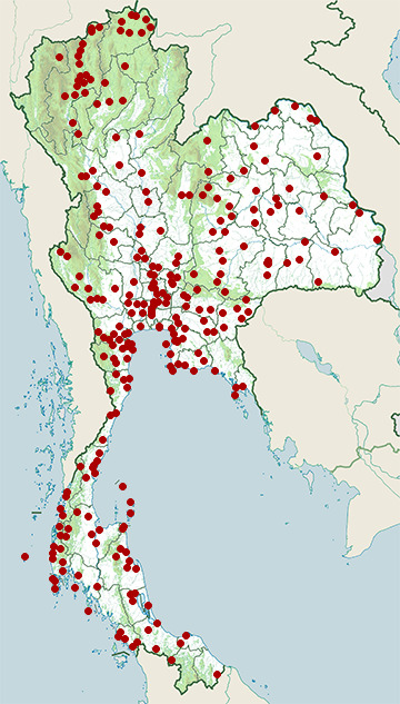 Distribution map of Little egret, Egretta garzetta in Thailand