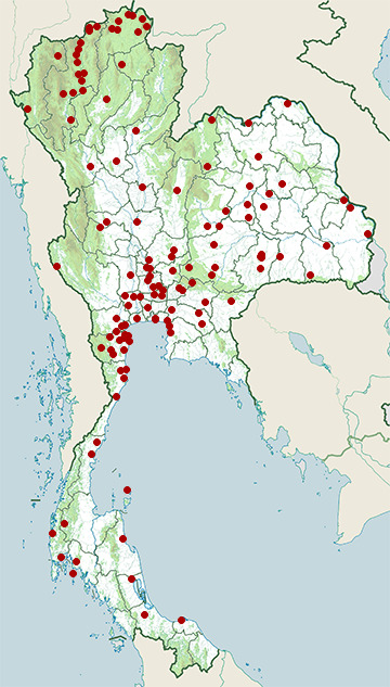 Distribution map of Little ringed plover, Charadrius dubius in Thailand