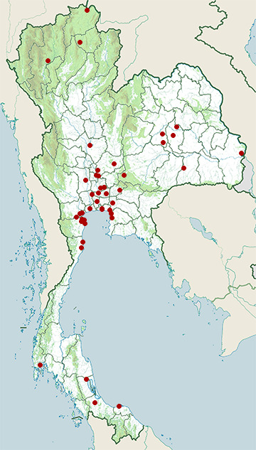 Distribution map of Long-toed stint, Calidris subminuta in Thailand