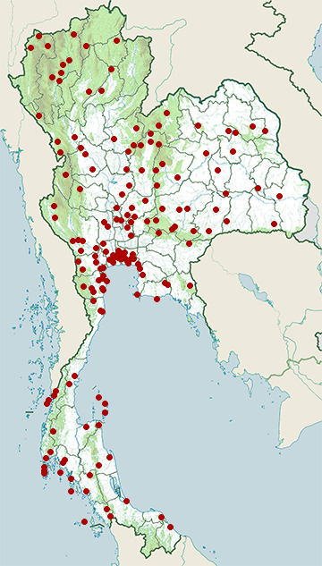 Distribution map of Common wolf snake, Lycodon capucinus in Thailand