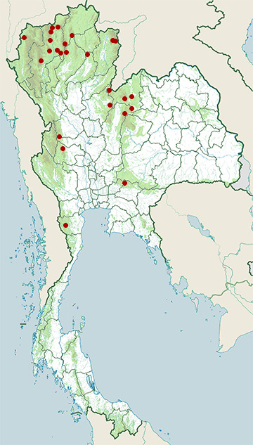 Distribution map of Banded wolf snake, Lycodon fasciatus in Thailand