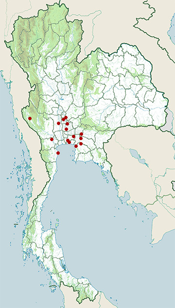 Distribution map of Lyle's flying fox, Pteropus lylei in Thailand