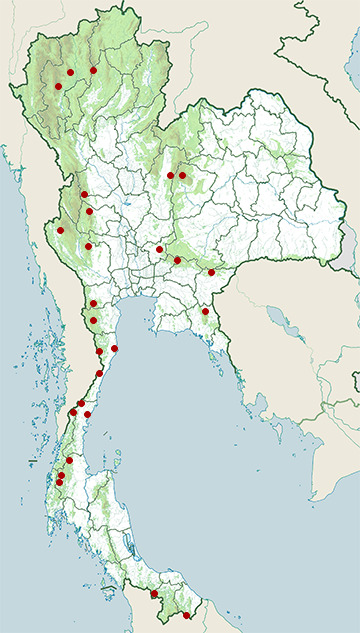 Distribution map of Malayan porcupine, Hystrix brachyura in Thailand