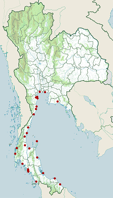 Distribution map of Malaysian plover, Charadrius peronii in Thailand