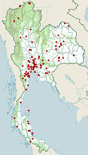 Distribution map of Bronze-winged jacana, Metopidius indicus in Thailand