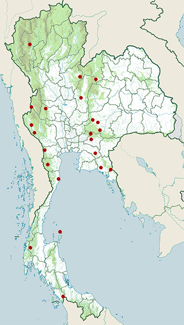 Distribution map of Heymons' narrow-mouthed frog, Microhyla heymonsi in Thailand