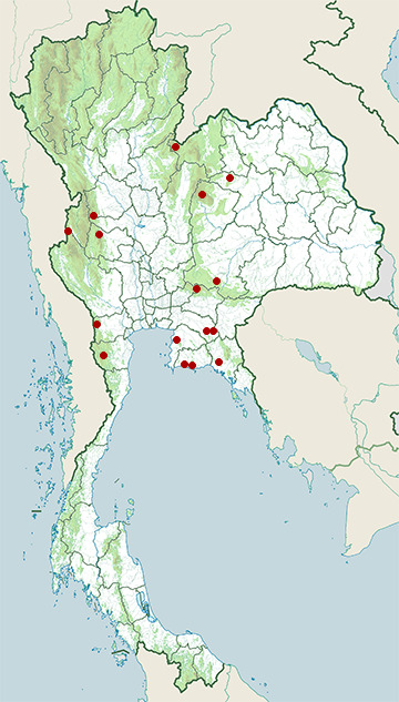 Distribution map of Beautiful narrow-mouthed frog, Microhyla pulchra in Thailand