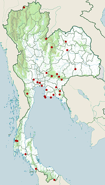 Distribution map of White-throated rock thrush, Monticola gularis in Thailand