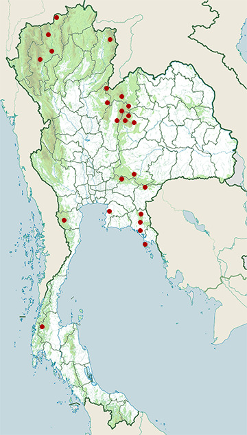 Distribution map of Moustached barbet, Psilopogon incognitus in Thailand