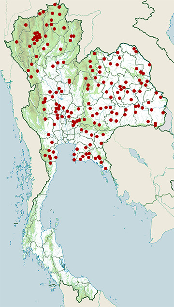 Distribution map of Indo-Chinese spitting cobra, Naja siamensis in Thailand