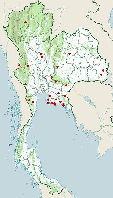Distribution map of Barron's kukri snake, Oligodon barroni in Thailand