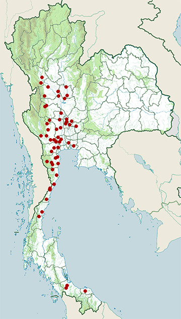 Distribution map of Mouhot's kukri snake, Oligodon mouhoti in Thailand