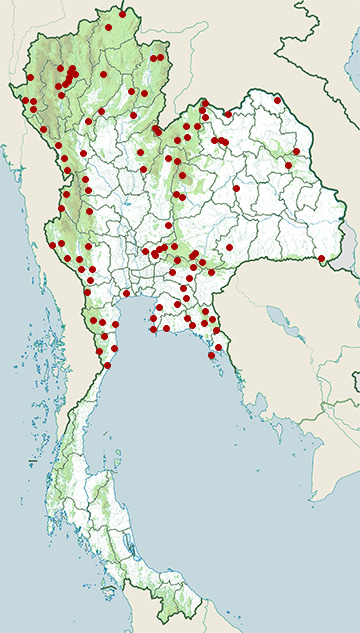 Distribution map of Northern king cobra, Ophiophagus hannah in Thailand