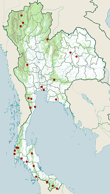 Distribution map of Oriental dwarf kingfisher, Ceyx erithaca in Thailand