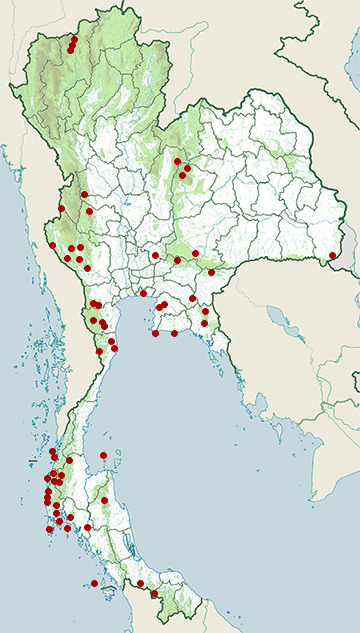 Distribution map of Oriental pied hornbill, Anthracoceros albirostris in Thailand