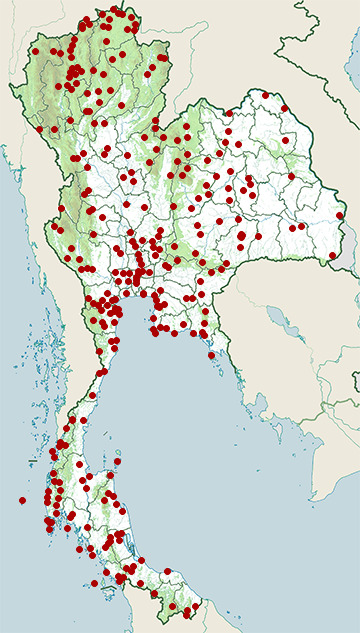 Distribution map of Common tailorbird, Orthotomus sutorius in Thailand