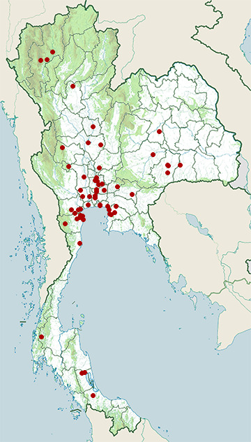 Distribution map of Painted stork, Mycteria leucocephala in Thailand