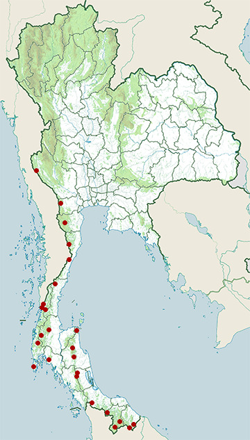Distribution map of Keeled slug snake, Pareas carinatus in Thailand