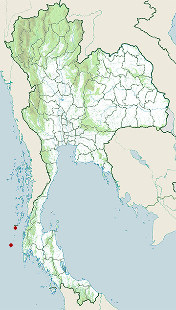 Distribution map of Pennant coralfish, Heniochus acuminatus in Thailand