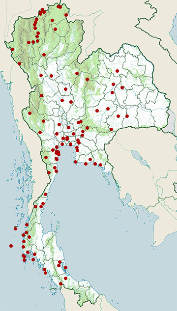 Distribution map of Peregrine falcon, Falco peregrinus in Thailand