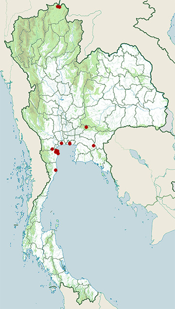 Distribution map of Great cormorant, Phalacrocorax carbo in Thailand