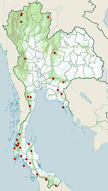Distribution map of Oriental bay owl, Phodilus badius in Thailand